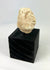Mesopotamian carved stone head from ritual figurine, 2000–800 BCE, mounted on black display stand