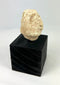Mesopotamian carved stone head from ritual figurine, 2000–800 BCE, mounted on black display stand