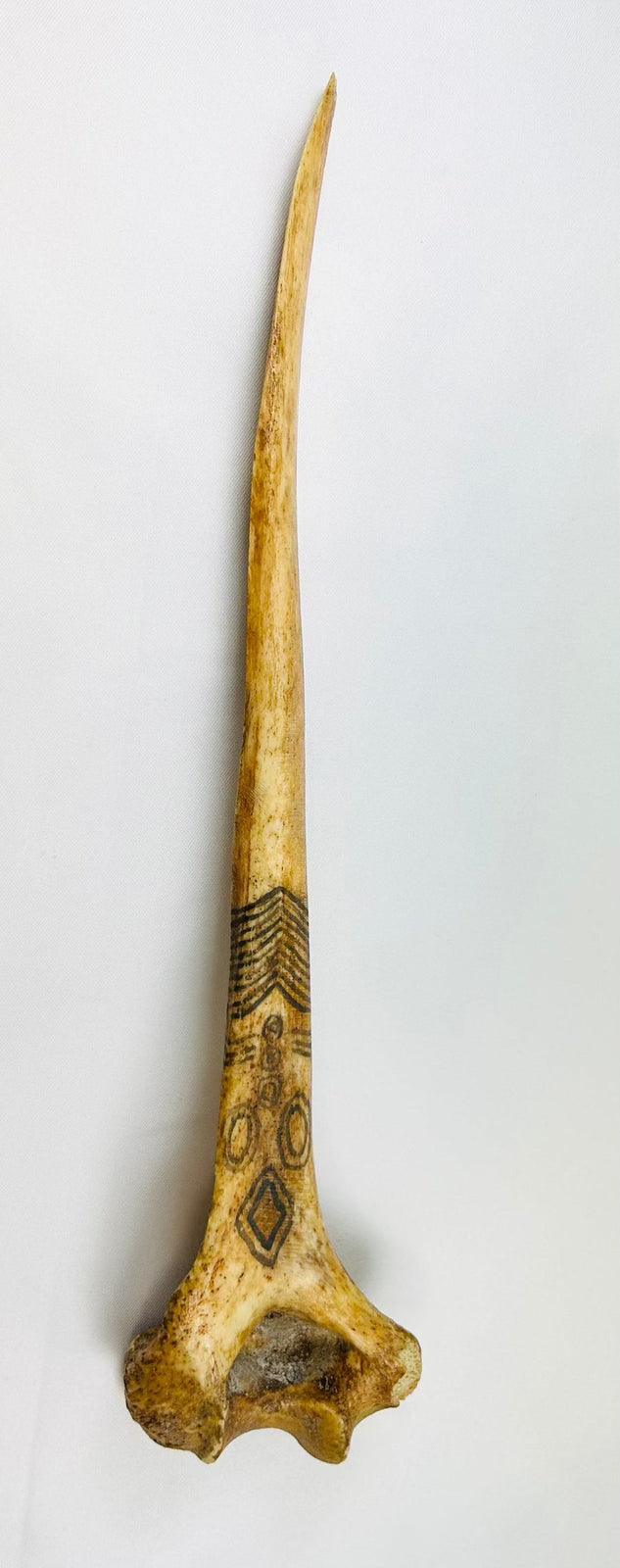 Reverse view of 19th-century New Guinea Highlands human bone dagger showing natural patina and surface decoration