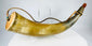 Authentic 1800s frontier powder horn with original wooden stopper and museum collection label attached