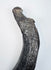 Oligocene sirenian fossil specimen with dark mineralization and contrasting lighter geological deposits