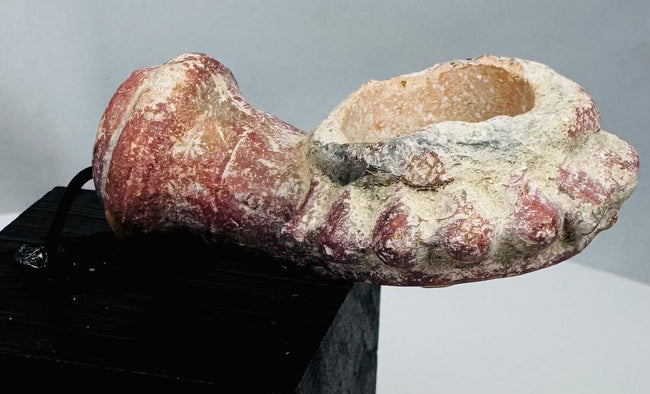 Rear view of Ottoman pipe socket supported by a curved metal display mount