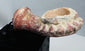 Rear view of Ottoman pipe socket supported by a curved metal display mount