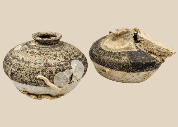 Pair of Ming dynasty discoid stoneware jarlets recovered from a Philippine shipwreck, 15th–16th century CE. Partial brown glaze with barnacle and mussel encrustations. One jarlet bears National Museum of the Philippines label. Excellent maritime provenance and well-preserved condition.