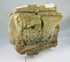 Early Westminster coronation commemorative plaster griffin relief with original backing