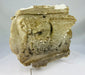 Early Westminster coronation commemorative plaster griffin relief with original backing