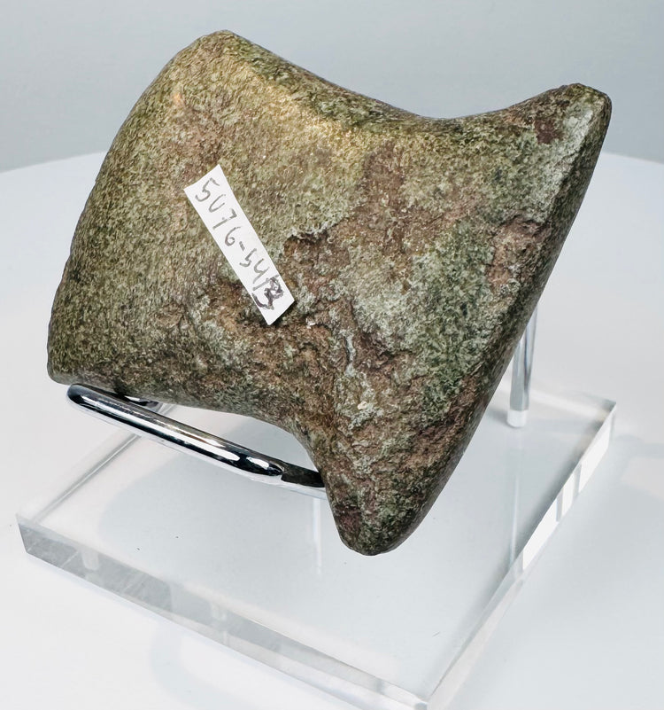 Reverse view of a Pre-Columbian ground stone tool from Ecuador or Peru with fully worked surfaces and archaeological collection markings.