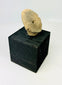 Pre-Columbian terracotta head fragment, West Mexico, drilled eyes, rounded features, Nayarit or Jalisco, 300 BCE–300 CE