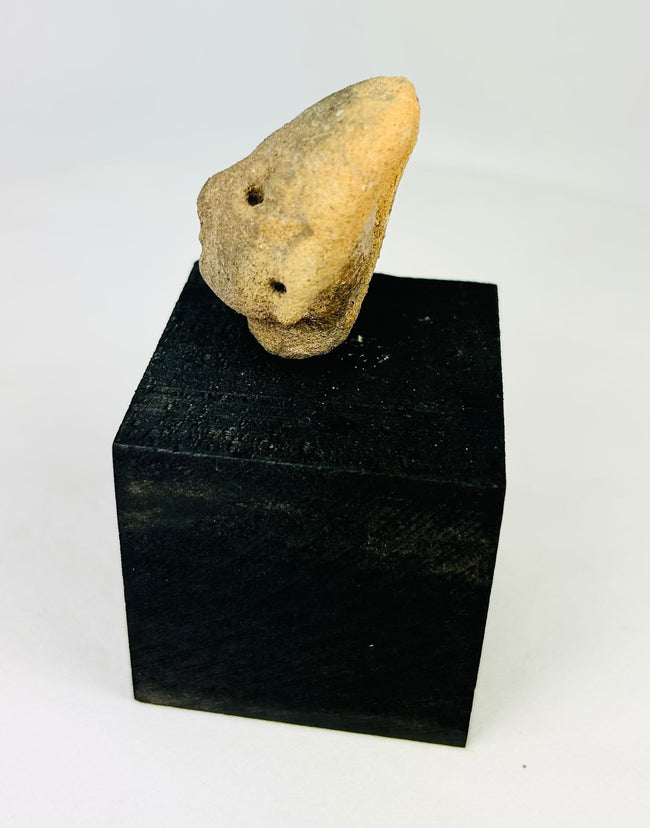 Nayarit terracotta head fragment, West Mexico, early Pre-Columbian artifact with subtle mouth and drilled eyes, displayed on black stand, 300 BCE–300 CE