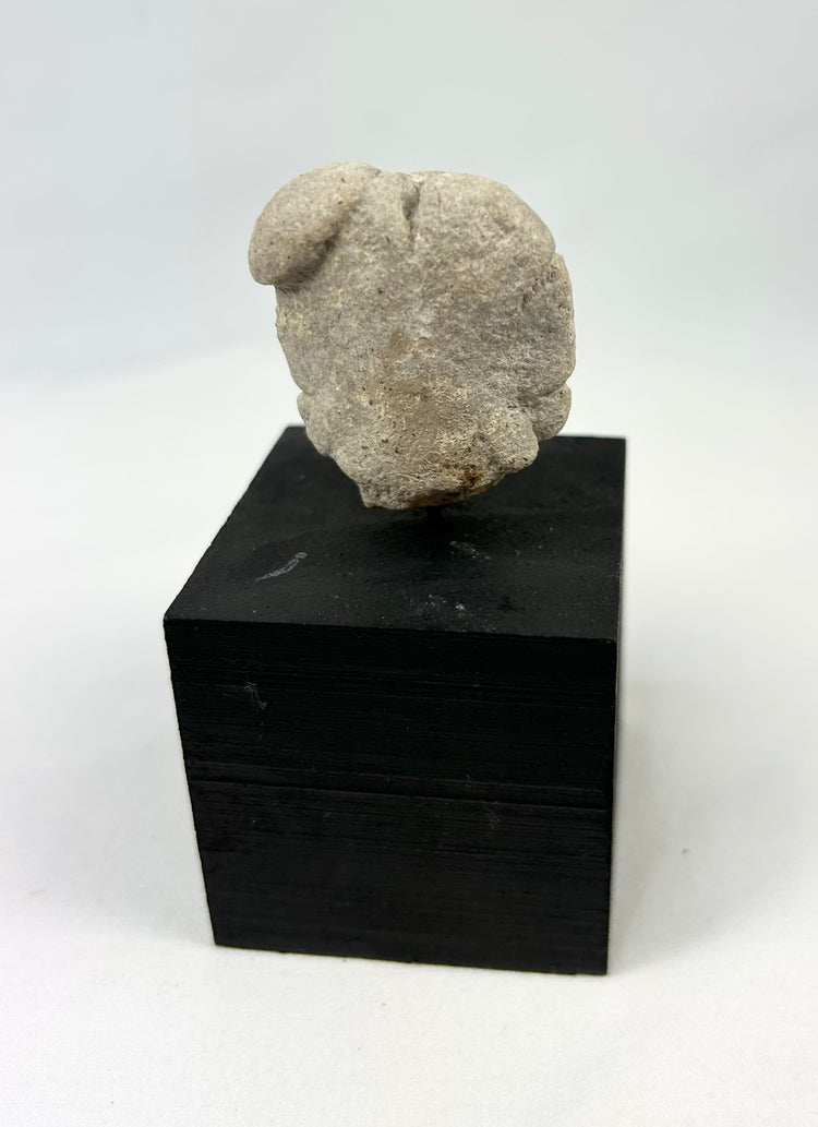 Stylized terracotta head fragment from West Mexico, photographed on white background