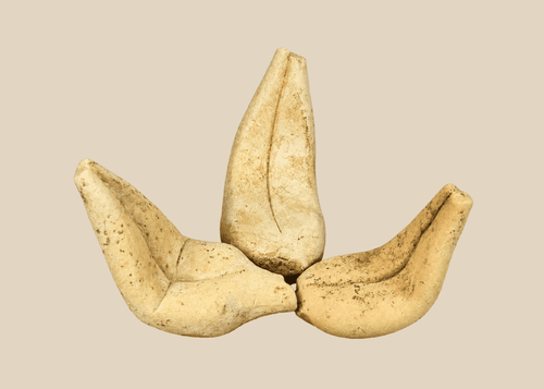 Pre-Columbian ceramic fragments with carved grooves mounted for display