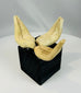 Archaeological Pre-Columbian pottery fragments showing hand-formed terracotta craftsmanship