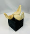 Ancient terracotta pottery fragments from a Pre-Columbian Mesoamerican culture