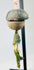 Side profile of bronze ritual bell showing smooth curvature and patinated surface details