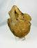 Valdivia–Chorrera ceramic head vessel fragment 1000–300 BCE