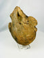 Valdivia–Chorrera ceramic head vessel fragment 1000–300 BCE