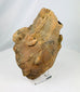 Valdivia–Chorrera culture anthropomorphic ceramic vessel with aged patina