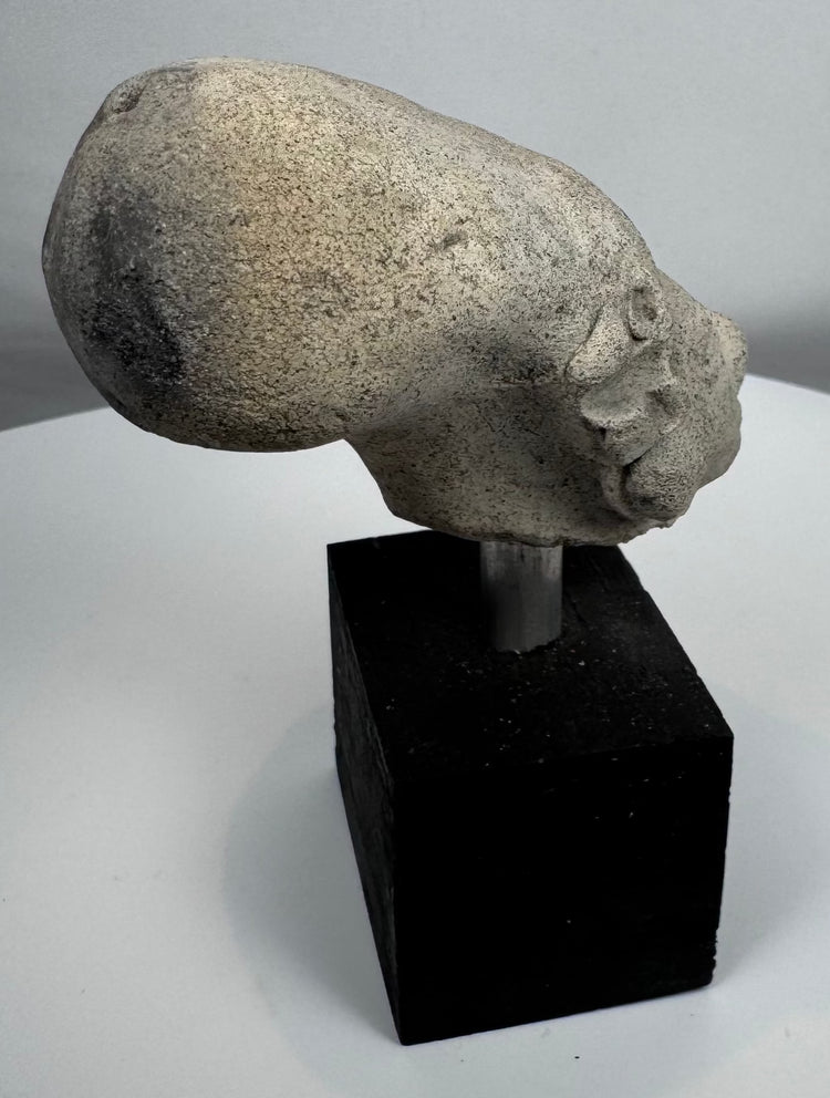West Mexican ceramic effigy head representing an ancestor, ritual figure, or community leader.