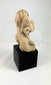 Pre-Columbian terracotta seated woman from West Mexico, featuring large ear ornaments and stylized face
