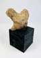 West Mexican terracotta head fragment mounted on black display base
