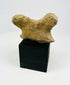Pre-Columbian terracotta fragment showing stylized facial features