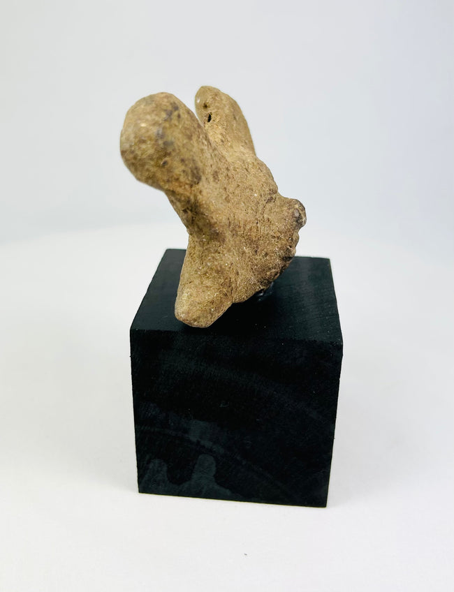 Ancient Pre-Columbian terracotta head with almond-shaped eyes and nose
