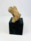 Ancient Pre-Columbian terracotta head with almond-shaped eyes and nose
