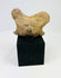 Ancient terracotta head from West Mexico shaft-tomb culture on display