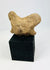 Pre-Columbian West Mexico terracotta head fragment with facial stylization