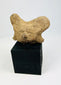 Pre-Columbian West Mexico terracotta head fragment with facial stylization