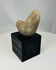 Authentic Pre-Columbian ground stone artifact showing surface wear from ancient use
