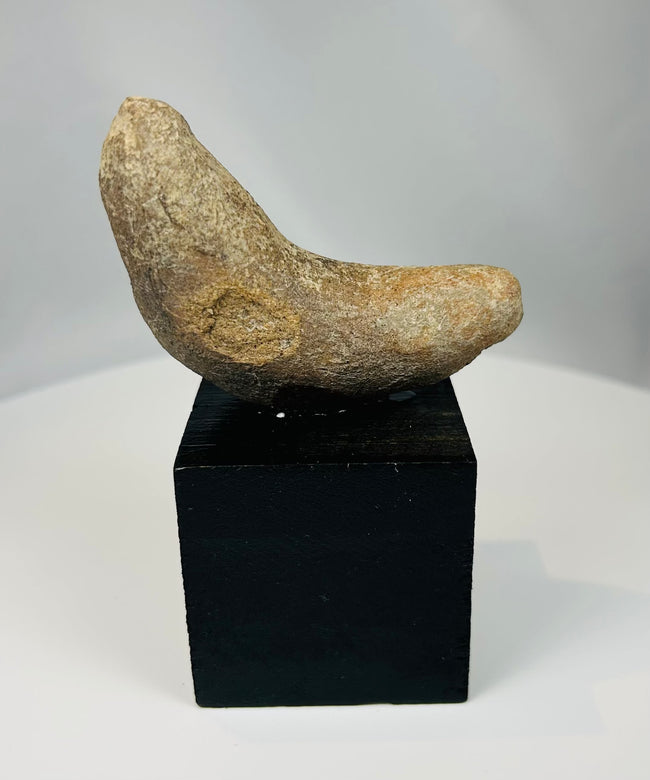 Ancient Pre-Columbian ground stone hand tool used for grinding or pounding materials