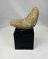 Pre-Columbian stone implement with ergonomic curved form from indigenous American culture