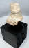 Ancient Gulf Coast Mexico terracotta female sculpture fragment featuring symbolic fertility attributes.