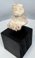 Ancient Gulf Coast Mexico terracotta female sculpture fragment featuring symbolic fertility attributes.