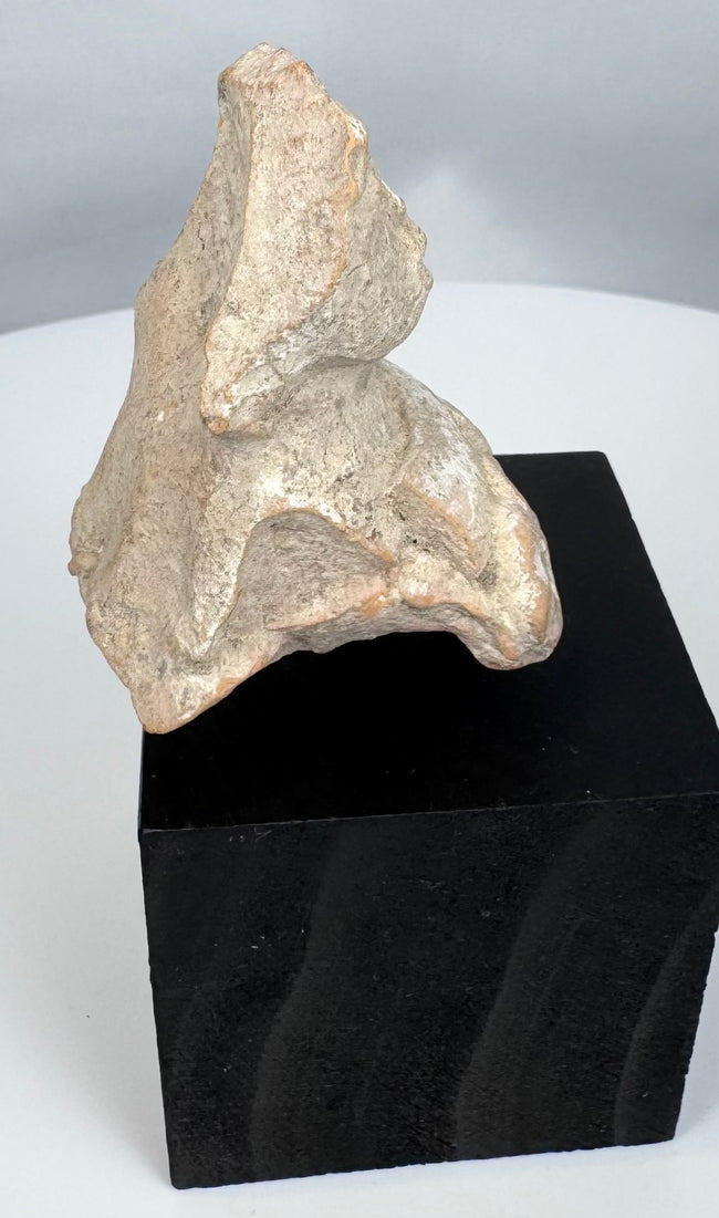 Pre-Columbian female terracotta figure fragment with archaeological mineral deposits and burial patina.