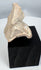 Pre-Columbian female terracotta figure fragment with archaeological mineral deposits and burial patina.