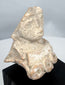 Authentic Pre-Columbian terracotta female figure fragment mounted for display, dating to circa 300 BCE–600 CE.