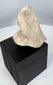 Mesoamerican terracotta figural fragment with monumental triangular headdress and serene facial expression.