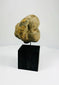 Ancient stone mask fragment reflecting early Mesoamerican artistry