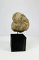 Pre-Columbian Mesoamerican stone mask showing stylized human face