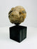 Ancient carved stone mask fragment mounted on black wooden stand