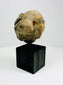 Ancient carved stone mask fragment mounted on black wooden stand