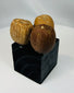 Pre-Columbian organic rattle elements made from drilled palm seed pods