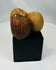 Set of three ancient seed pod artifacts used in indigenous ritual music traditions