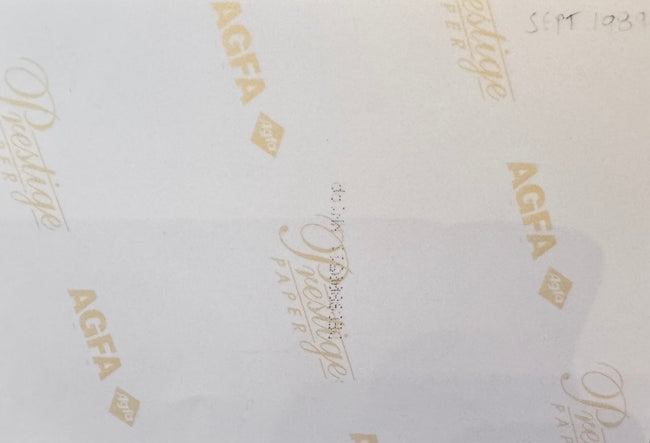 Back of archival photograph showing handwritten date September 1983.