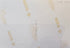 Back of archival photograph showing handwritten date September 1983.