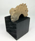 Ancient Mesoamerican stone sculpture fragment showing open-mouthed animal symbolism