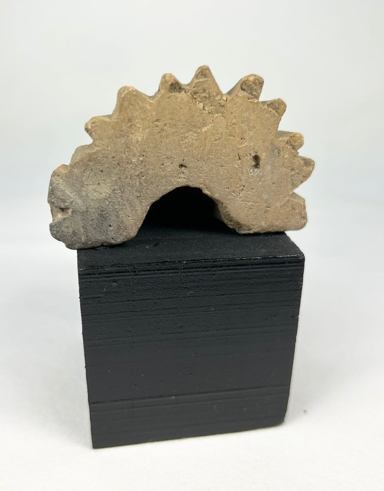 Pre-Columbian stone head fragment with radiating crest, possibly Aztec or Maya influence