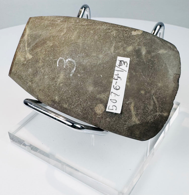 Side view of a Pre-Columbian Andean stone axe displaying its thick profile and steeply beveled cutting edge.